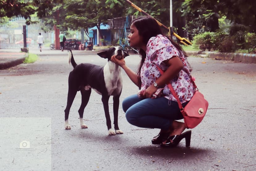 Voice for Voiceless Event image 4